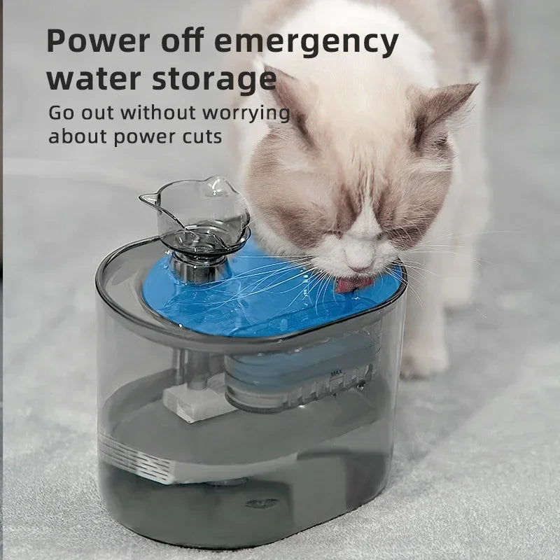 Fontaine à Eau Automatique USB pour Chat — 2.2L, Silencieuse, Filtre