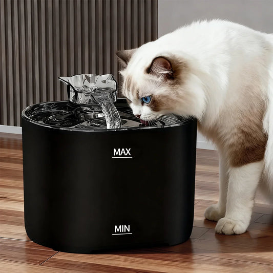 Fontaine à Eau Automatique USB pour Chat — 2.2L, Silencieuse, Filtre