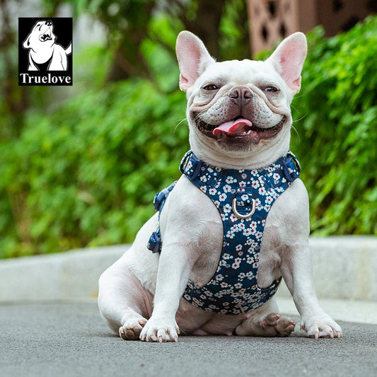 Harnais pour Chien Truelove — Confort & Sécurité, Sans Traction